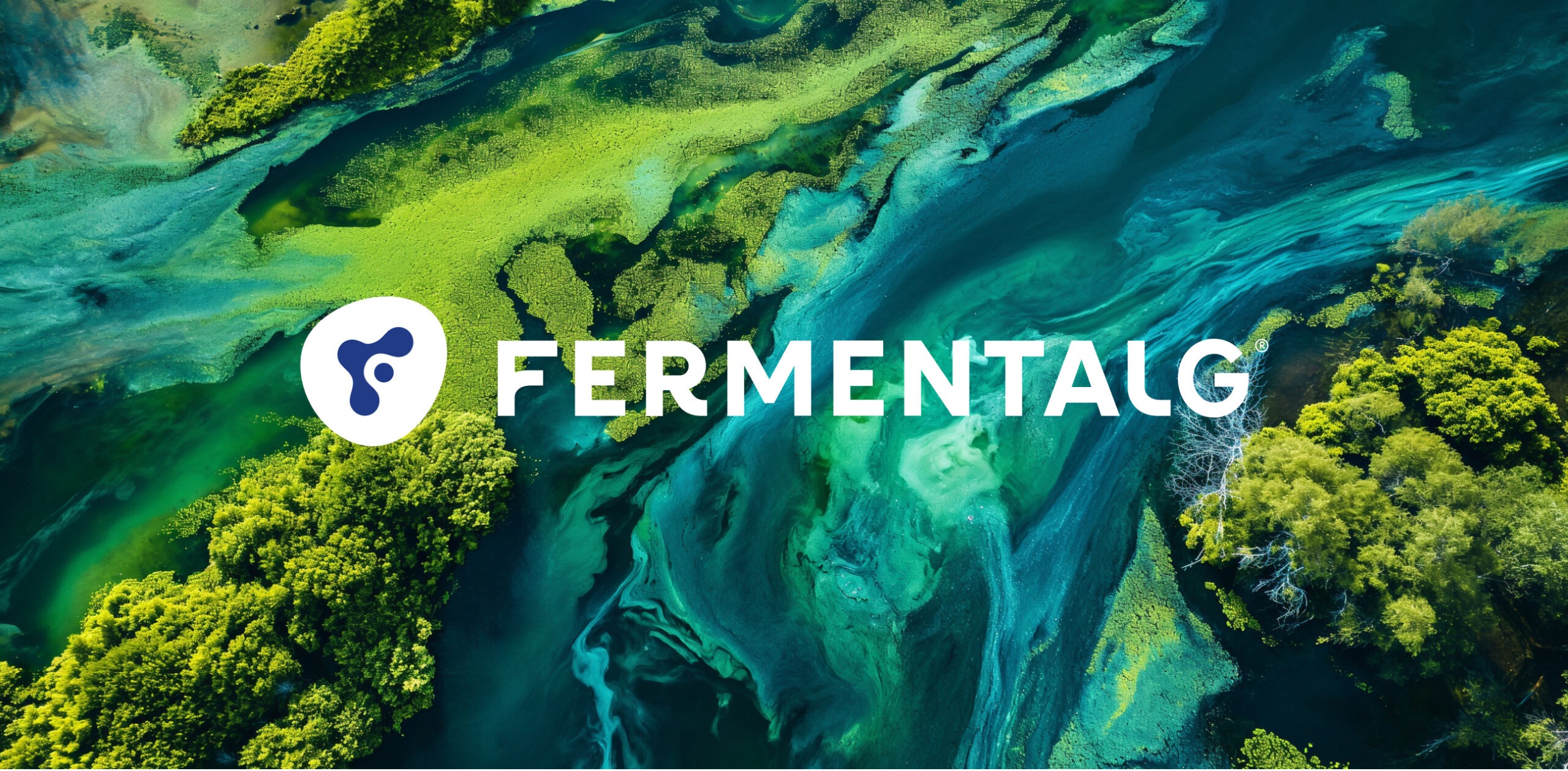 Image d'intro Fermentalg avec le logotype et un fond coloré