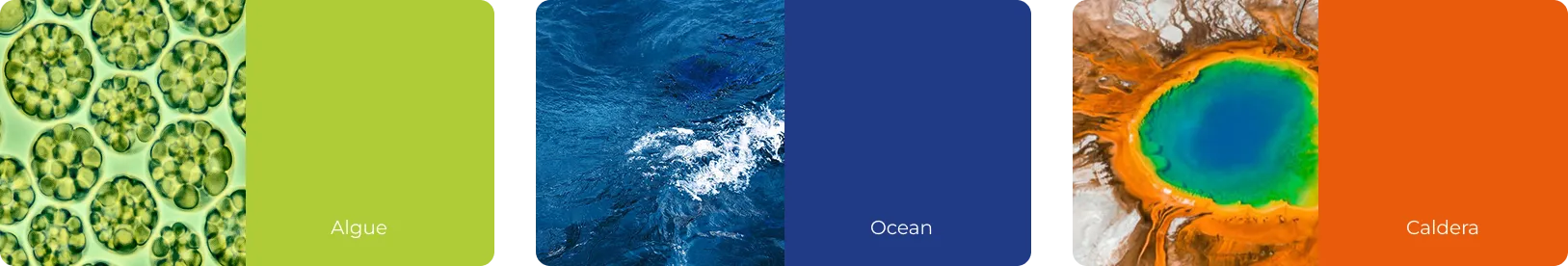 Couleurs identité visuelle de Fermentalg