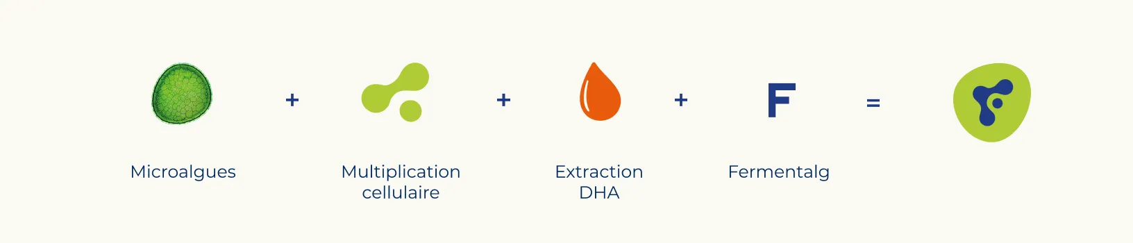Construction du Logotype Fermtentalg